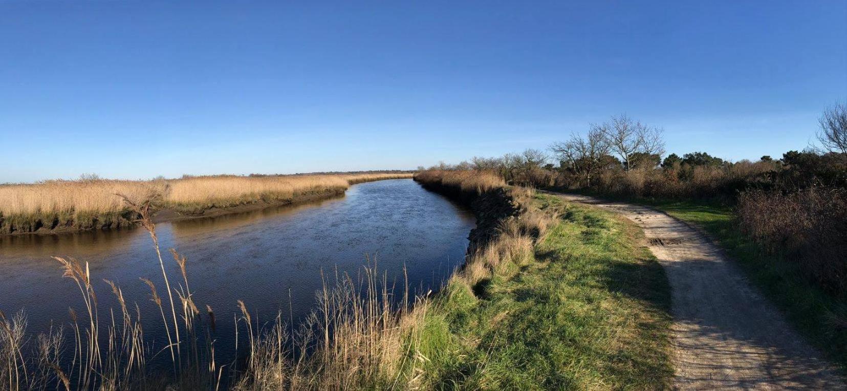 Chalet Le Teich Zewnętrze zdjęcie